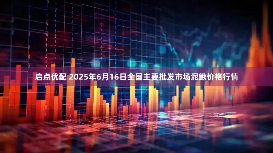 启点优配 2025年6月16日全国主要批发市场泥鳅价格行情