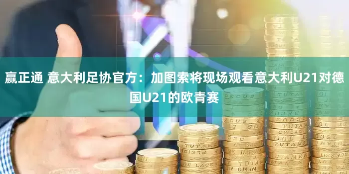 赢正通 意大利足协官方：加图索将现场观看意大利U21对德国U21的欧青赛