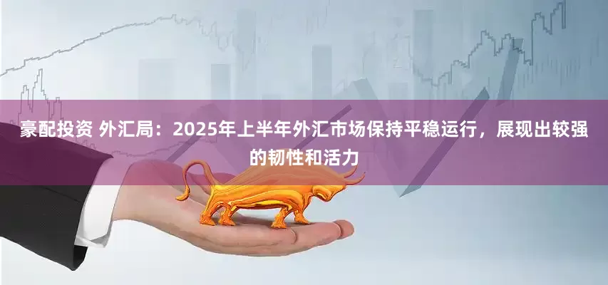 豪配投资 外汇局：2025年上半年外汇市场保持平稳运行，展现出较强的韧性和活力