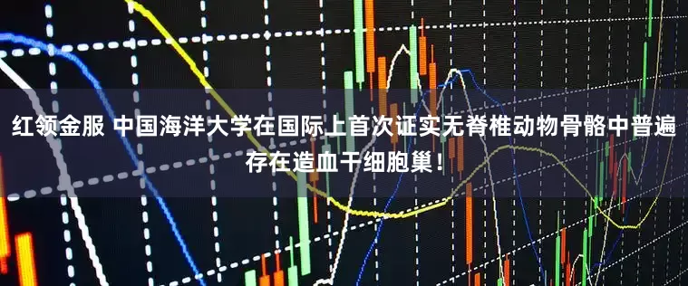 红领金服 中国海洋大学在国际上首次证实无脊椎动物骨骼中普遍存在造血干细胞巢！