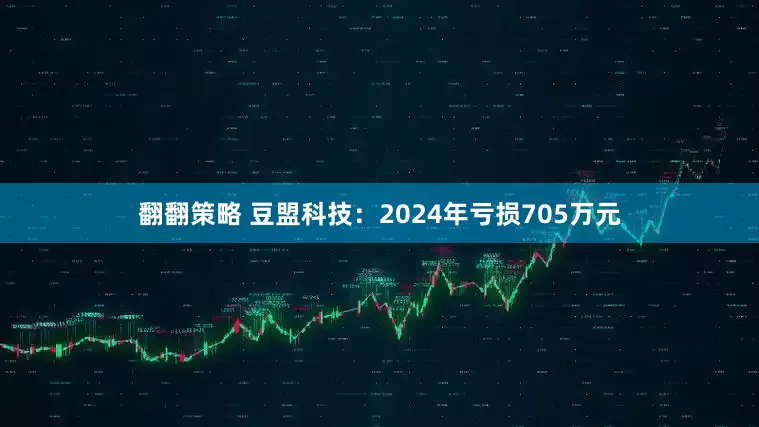 翻翻策略 豆盟科技：2024年亏损705万元