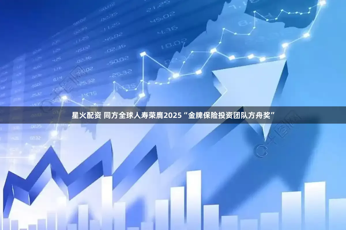 星火配资 同方全球人寿荣膺2025“金牌保险投资团队方舟奖”