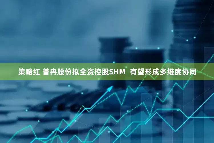 策略红 普冉股份拟全资控股SHM  有望形成多维度协同