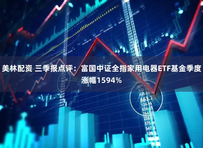 美林配资 三季报点评：富国中证全指家用电器ETF基金季度涨幅1594%